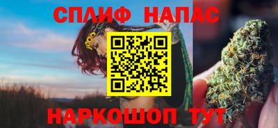 тгк Будённовск