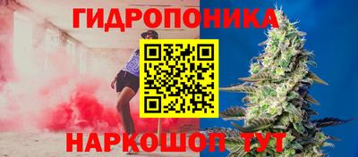 a pvp Бузулук